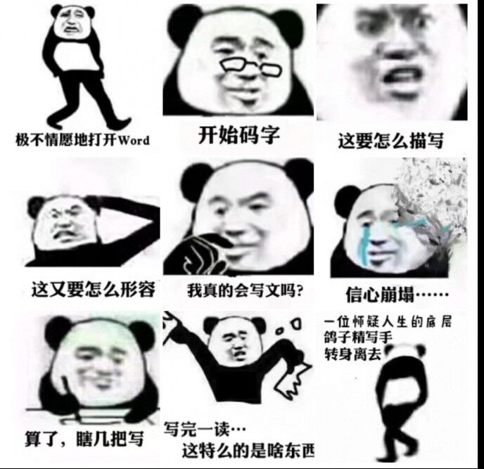 码字的我