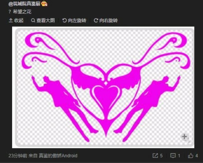 乌……希望的花！
