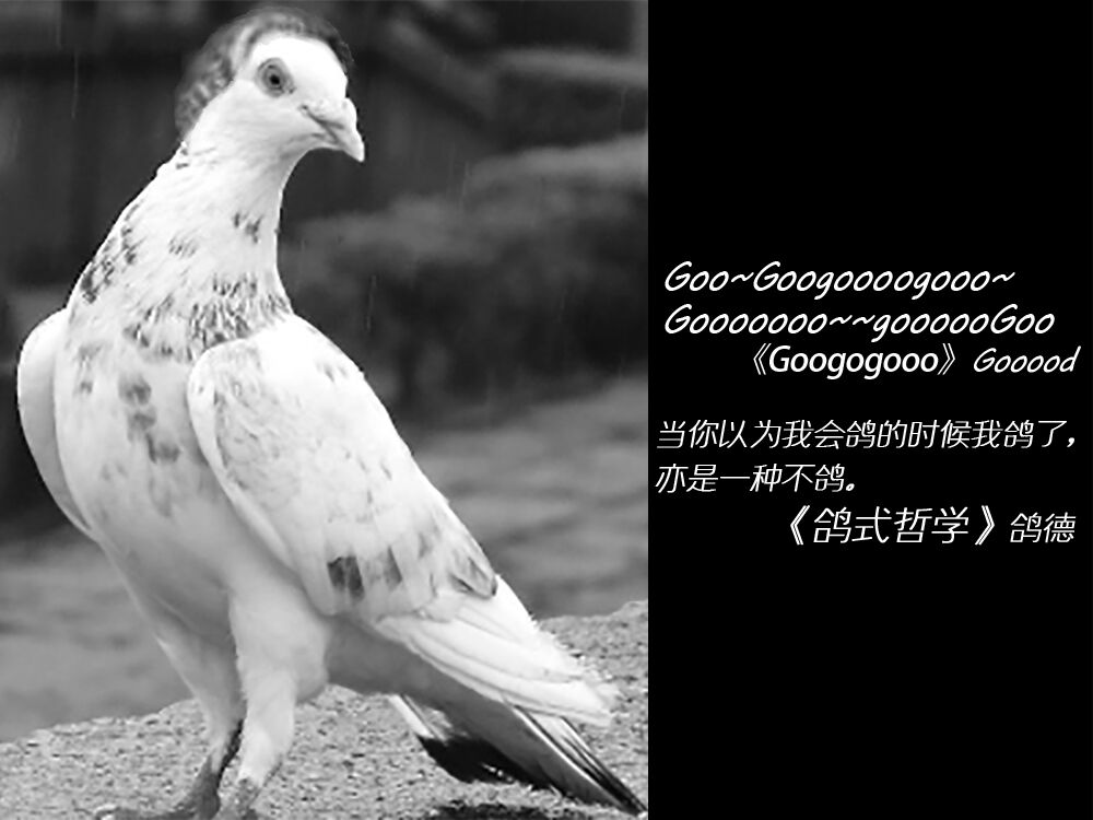 你们说我明天到底怎么