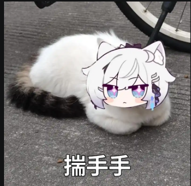 揣手手