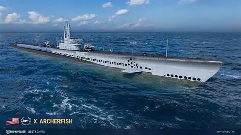 M系Ⅹ级潜艇 射水鱼