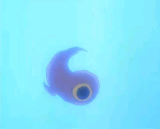 奈绪子的描述