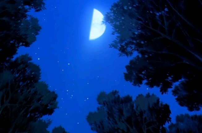 寂静的夜