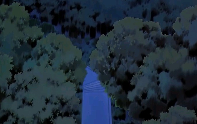后山森林