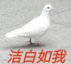 0促成