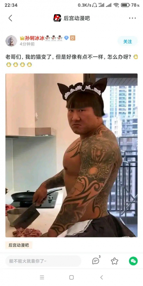 猫真的会变