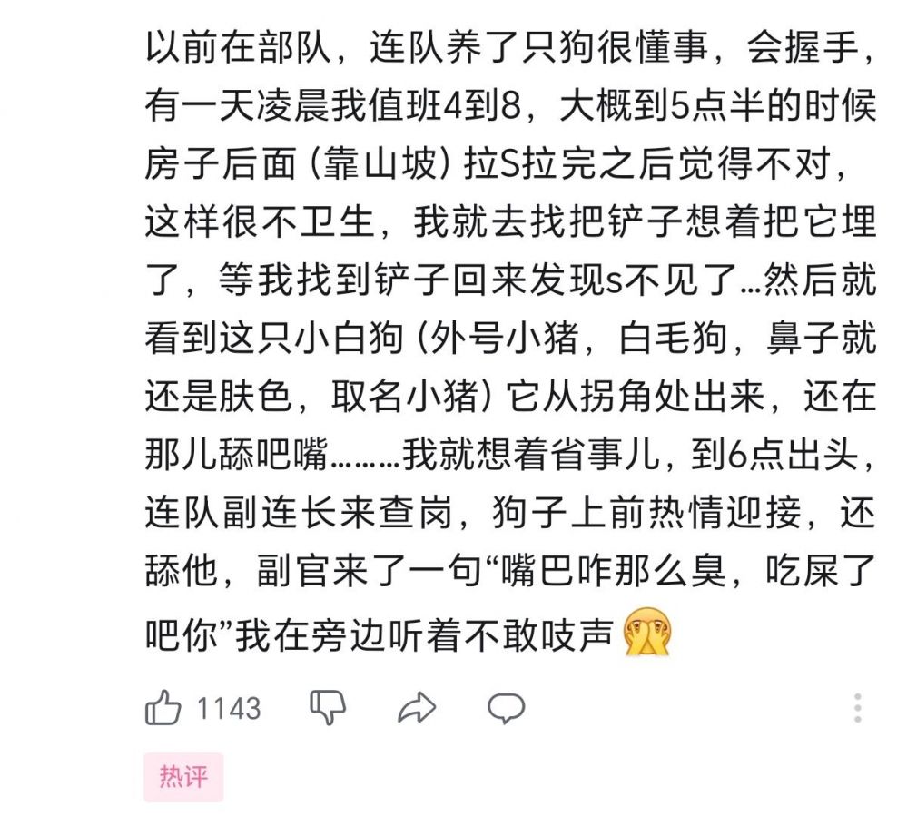 警惕狗狗舔你