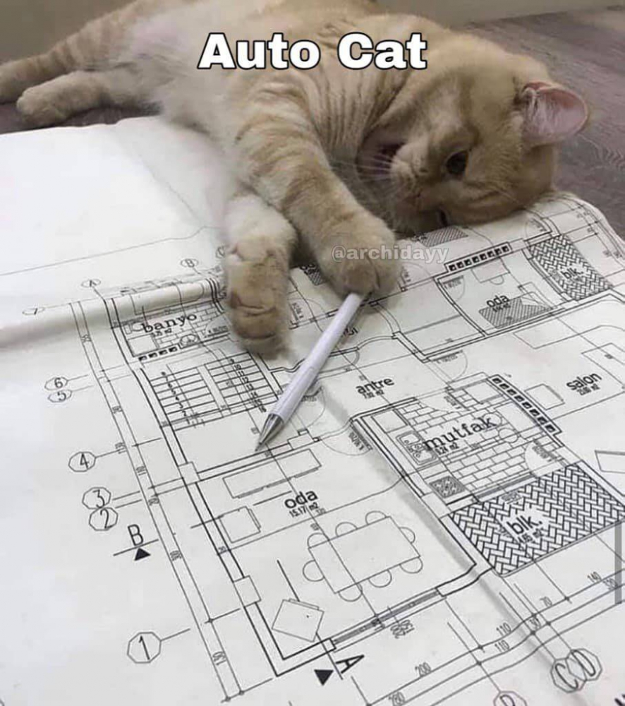 Auto Cat