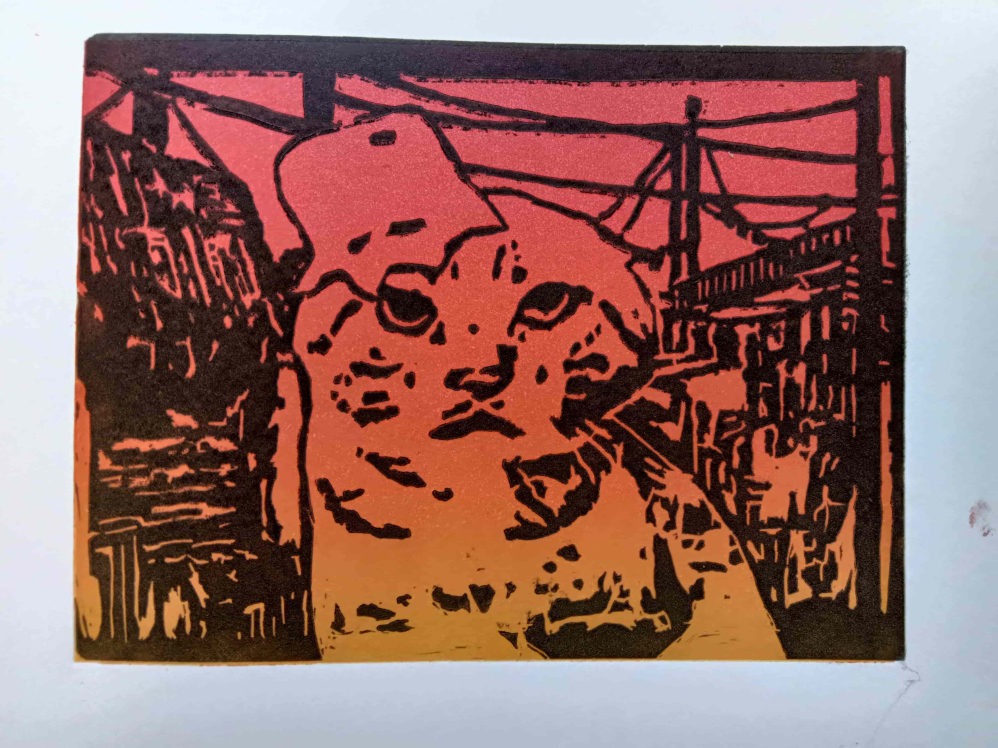 作业1