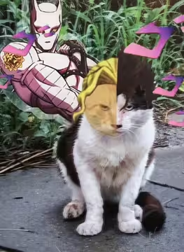 我从地狱回来了