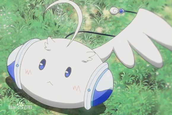 讲道理，我描述的没错