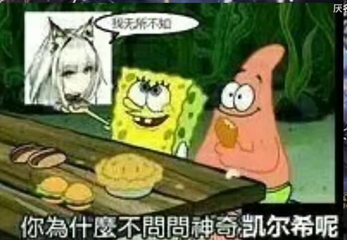 你为什么不问问凯尔西