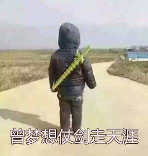 曾梦想仗剑走天涯