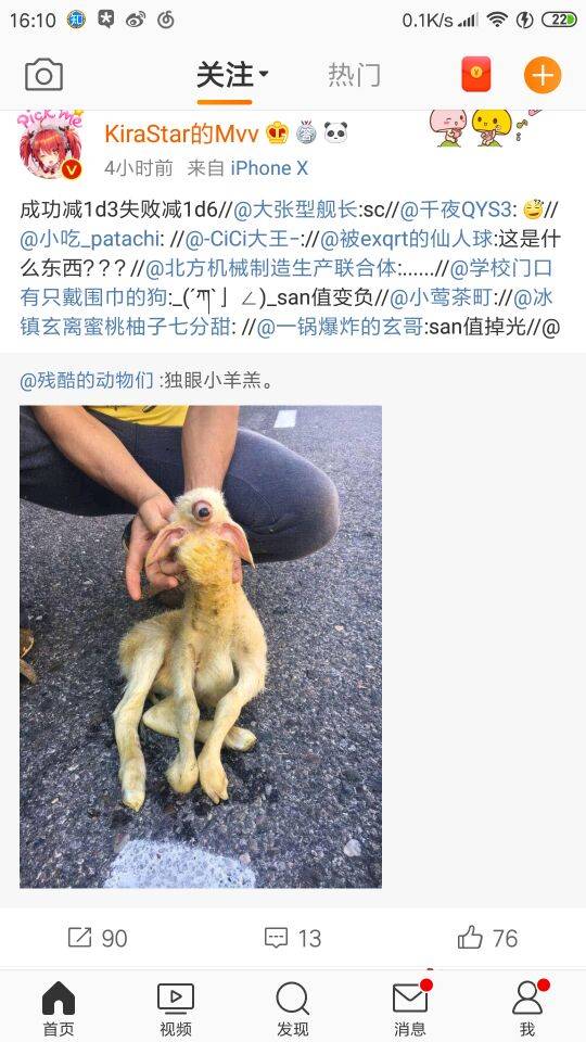 请不要点进来系列