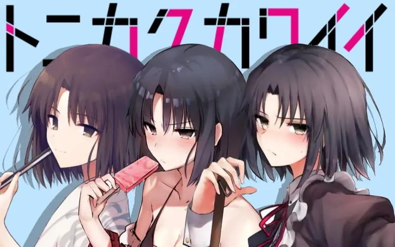 各种两仪