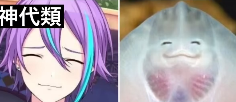 你就说是不是吧