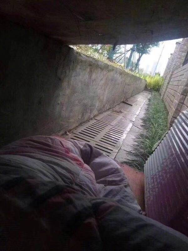 作者姬桥洞底下的家