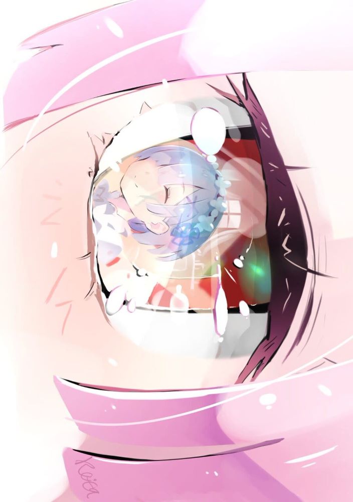 眼中的蕾姆