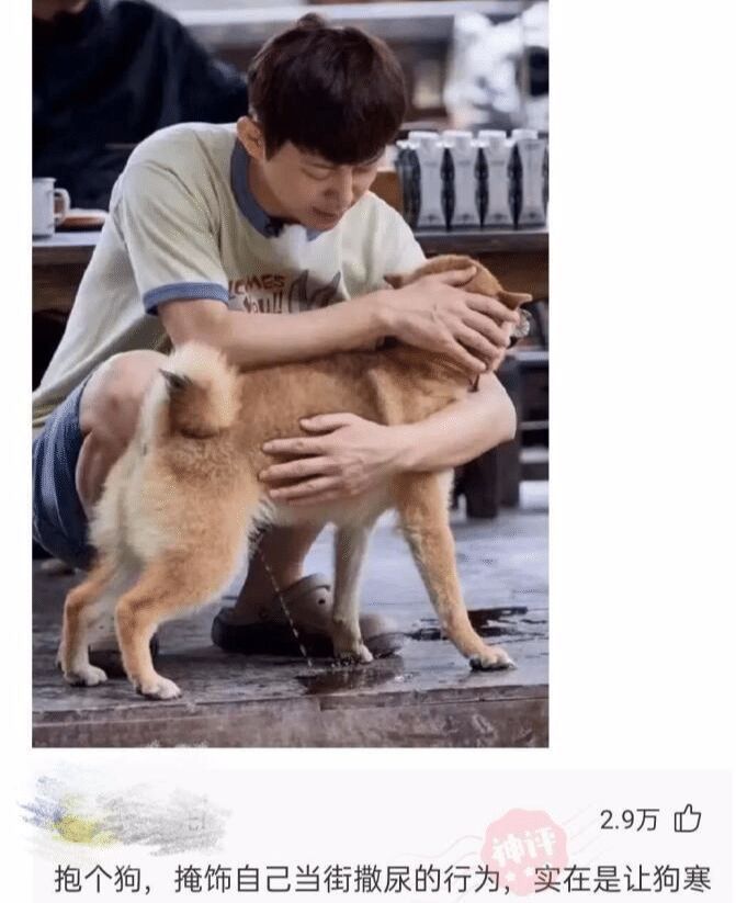 狗子表示委屈