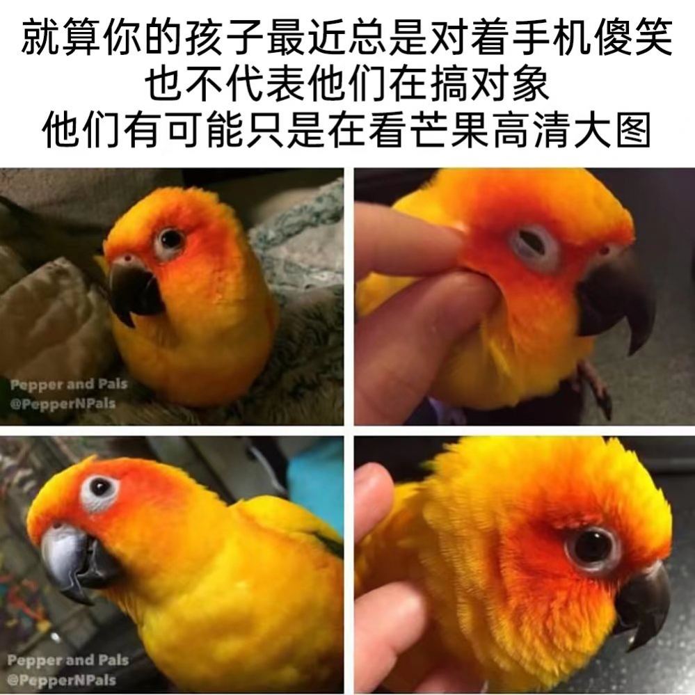 终于放出来哩！