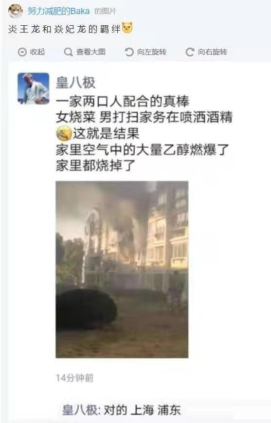 炎王龙与炎妃龙