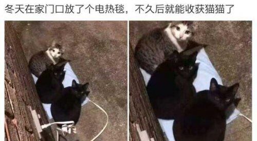 我有一个大胆的想法