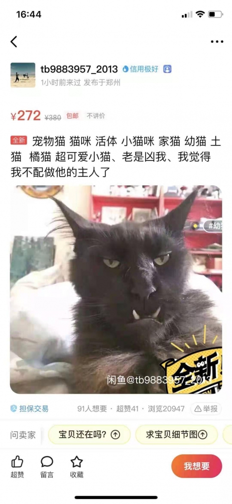 这是金狮子王吧