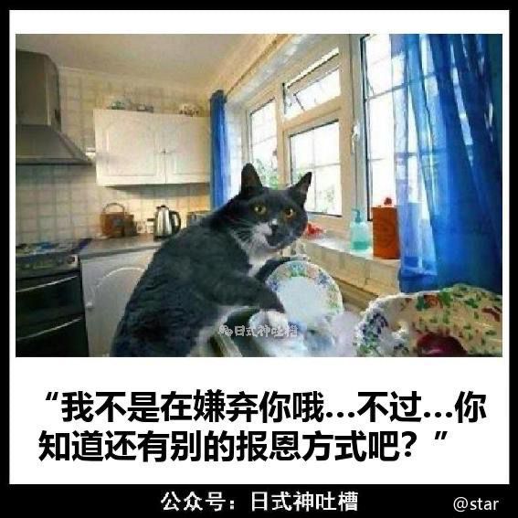 hhhh这猫