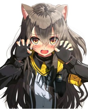 长毛的钢板！（被打死