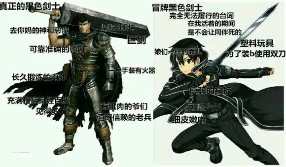 虚假的黑衣剑士