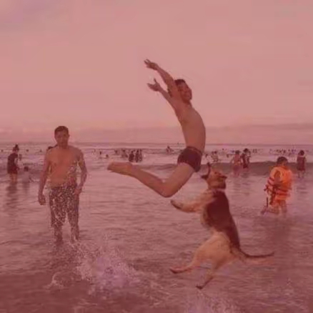 啧啧，看着都痛