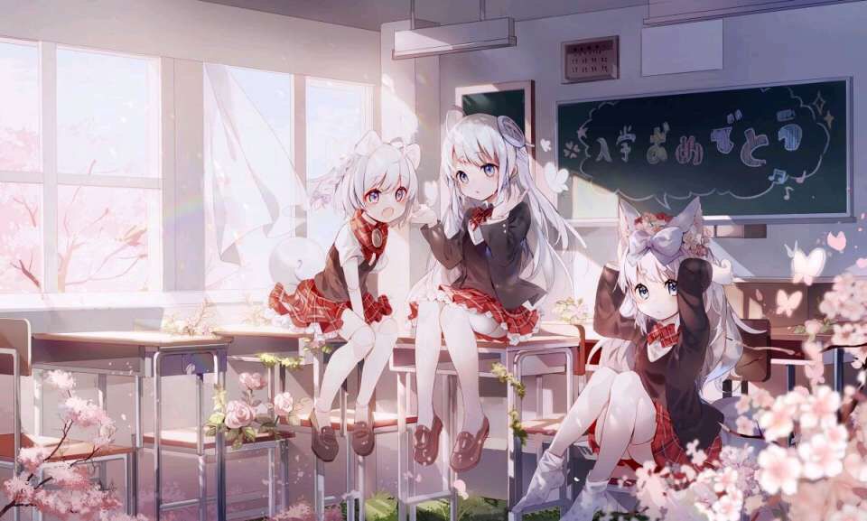 可遗憾