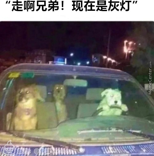 前方可是灰灯