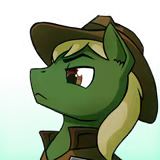 黄铜铅弹（pfe）