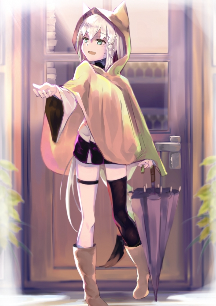 出现吧，我的狐狸图库