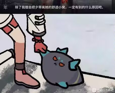 来张图