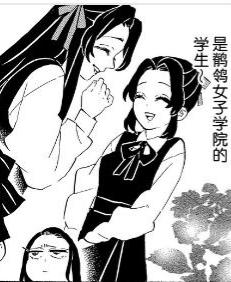 鹡鸰学院姐妹花