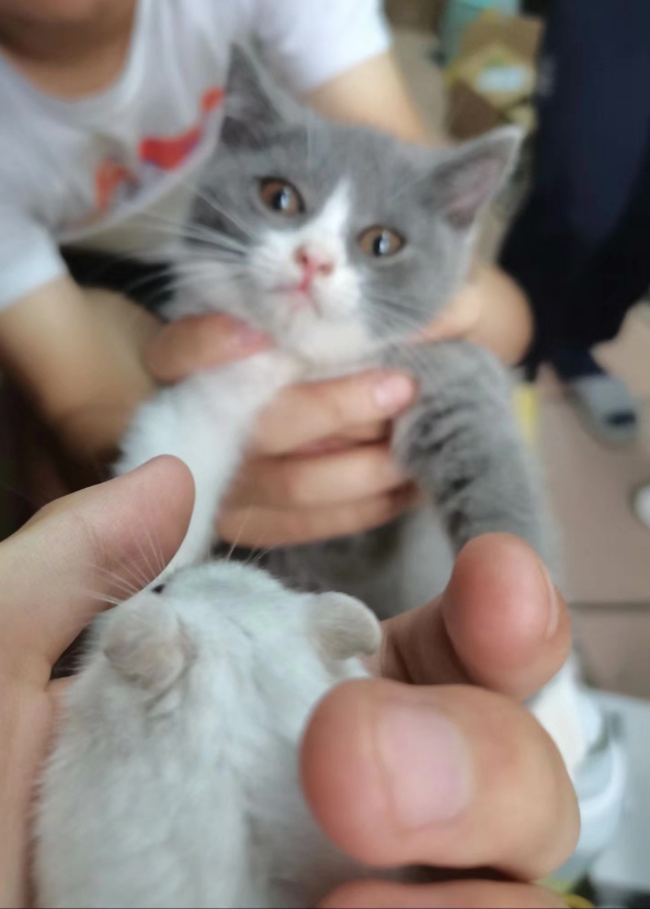 隔壁寝室，酸死我了