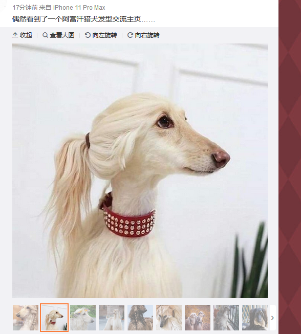 能不能让福瑞控有反应