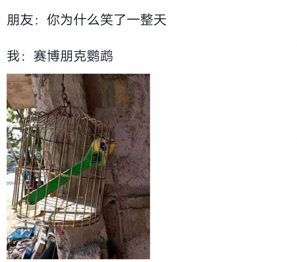 万物赛博朋克