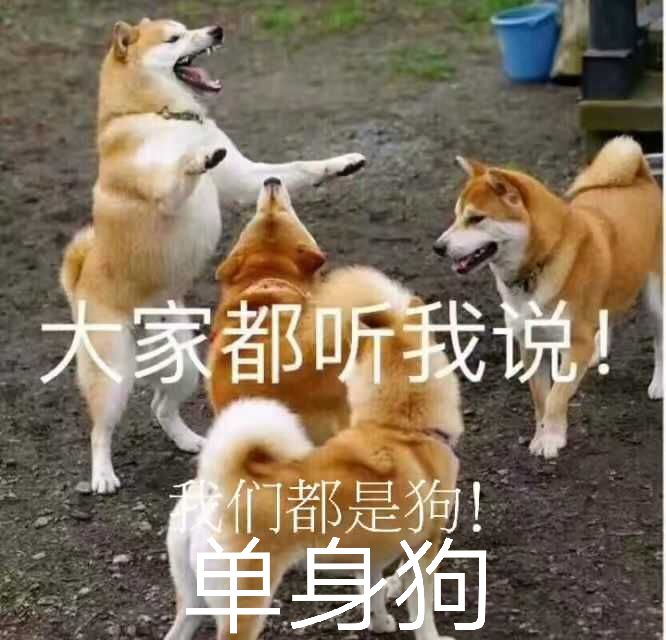 是的扣1不是的扣2