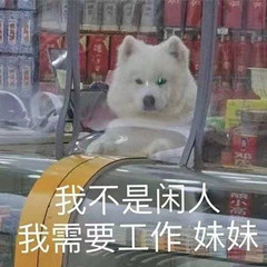 人到底为什么要上班