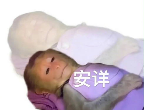 周末双休的工作哪里找