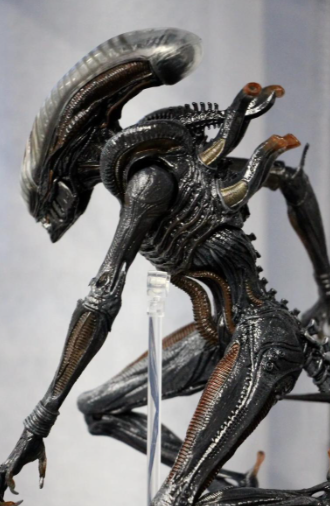 泰伦和异形还挺像