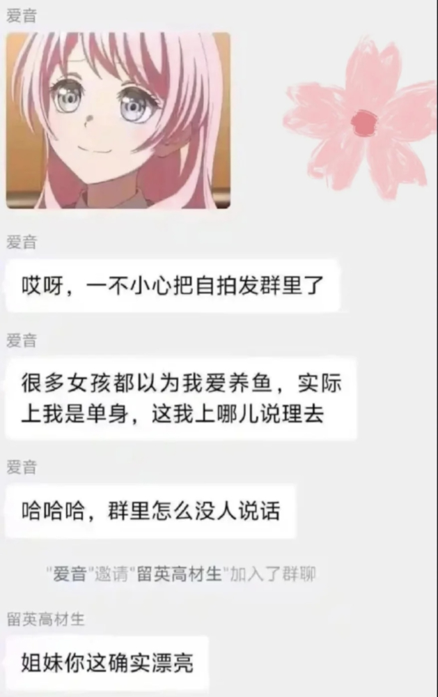 ��Ӣ�߲�������