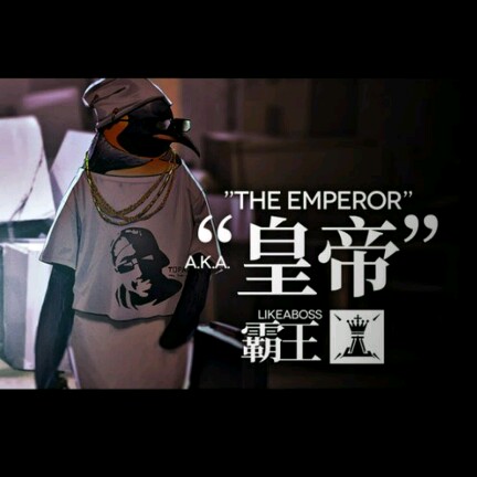 『图:E哥』
