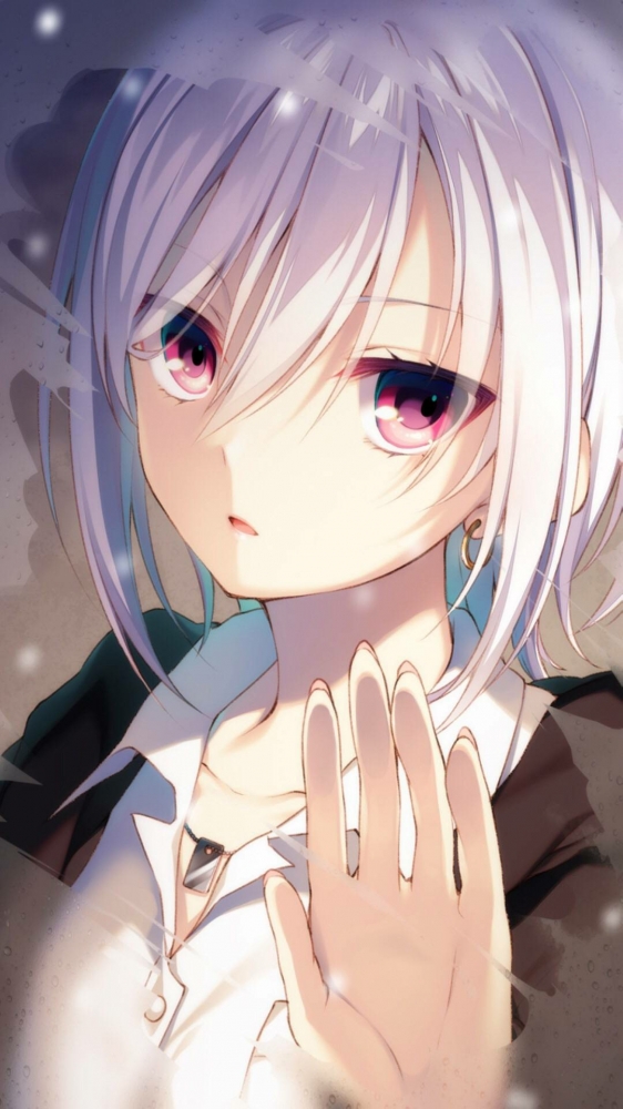 相册很少有健全的图