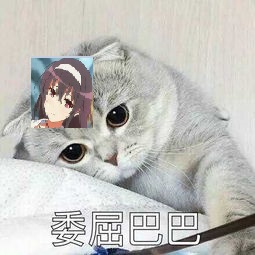 委屈的霞之丘诗喵~