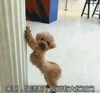 发张福利？
