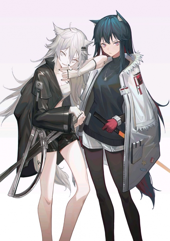 双狼(^o^)/~